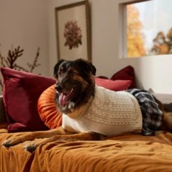 Frisco Plaid Dog & Cat Sweater Dress -Pawfect Care 353673 PT7. AC SS1800 V1660750173