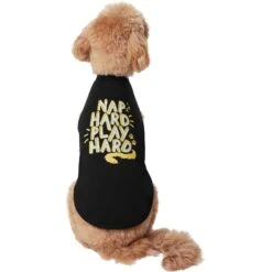 Frisco Nap Hard Play Hard Dog & Cat T-Shirt -Pawfect Care 353713 PT2. AC SS1800 V1659010872