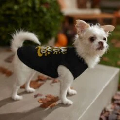 Frisco Nap Hard Play Hard Dog & Cat T-Shirt -Pawfect Care 353713 PT7. AC SS1800 V1660750172