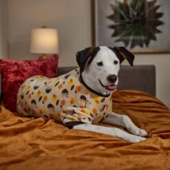 Frisco Hedgehog Dog & Cat Fleece Pajamas -Pawfect Care 353730 PT6. AC SS1800 V1660749991