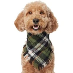Frisco Plaid Fringe Dog & Cat Bandana -Pawfect Care 353769 PT2. AC SS1800 V1659010812