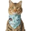 Frisco Moose Lodge Dog & Cat Bandana -Pawfect Care 353774 MAIN. AC SS1800 V1659008187
