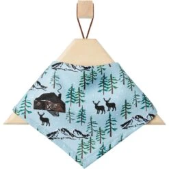 Frisco Moose Lodge Dog & Cat Bandana -Pawfect Care 353774 PT4. AC SS1800 V1659725808