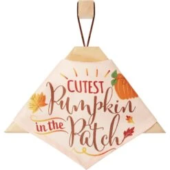 Frisco Cutest Pumpkin In The Patch Dog & Cat Bandana -Pawfect Care 353777 PT4. AC SS1800 V1663343389
