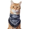 Frisco Southwest Fringe Dog & Cat Bandana -Pawfect Care 353783 MAIN. AC SS1800 V1659010876