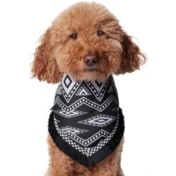 Frisco Southwest Fringe Dog & Cat Bandana -Pawfect Care 353783 PT2. AC SS1800 V1659007315