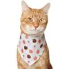 Frisco Apple Dog & Cat Bandana -Pawfect Care 353786 MAIN. AC SS1800 V1659011013