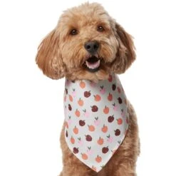 Frisco Apple Dog & Cat Bandana -Pawfect Care 353786 PT2. AC SS1800 V1661275129