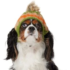 Frisco Striped Poof Dog & Cat Knitted Hat -Pawfect Care 353793 PT2. AC SS1800 V1659008241