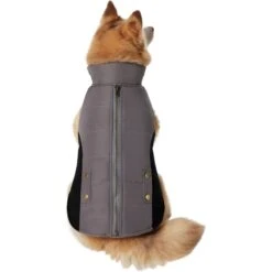 Frisco Mediumweight Faux Zipper Dog & Cat Jacket -Pawfect Care 353817 PT2. AC SS1800 V1659010334