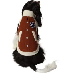 Frisco Lightweight Varsity Dog & Cat Jacket -Pawfect Care 353861 PT2. AC SS1800 V1659010873