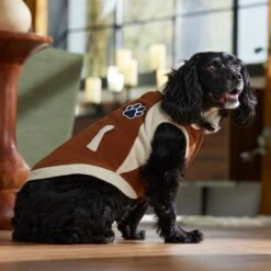 Frisco Lightweight Varsity Dog & Cat Jacket -Pawfect Care 353861 PT7. AC SS1800 V1660749417