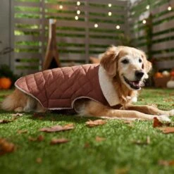 Frisco Mid-Heavyweight Fleece Lined Quilted Dog & Cat Coat -Pawfect Care 353877 PT7. AC SS1800 V1660750171