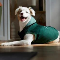 Frisco Lightweight Classic Dog & Cat Coat -Pawfect Care 353901 PT7. AC SS1800 V1660749440