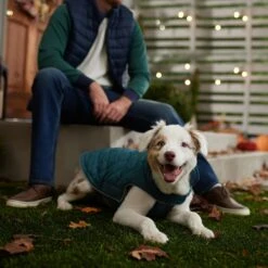 Frisco Mediumweight Reversible Dog & Cat Coat -Pawfect Care 353932 PT7. AC SS1800 V1660749442