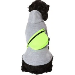 Frisco Dog & Cat Hoodie With Removable Fanny Pack -Pawfect Care 353965 PT2. AC SS1800 V1659008241