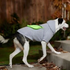 Frisco Dog & Cat Hoodie With Removable Fanny Pack -Pawfect Care 353965 PT7. AC SS1800 V1660749475