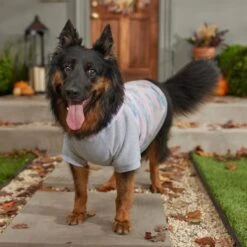 Frisco Pink Tie Dye Dog & Cat Hoodie 16 Frisco Pink Tie Dye Dog & Cat Hoodie -Pawfect Care 353981 PT7. AC SS1800 V1660749835