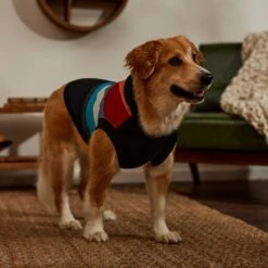 STAR WARS Retro Fleece Dog & Cat Hoodie -Pawfect Care 354027 PT8. AC SS1800 V1660750163