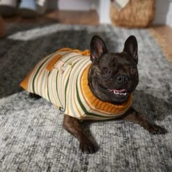 Disney Winnie The Pooh Dog & Cat Faux Cardigan -Pawfect Care 354036 PT7. AC SS1800 V1660749564