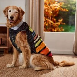 STAR WARS Lightweight Retro Dog & Cat Fleece Vest -Pawfect Care 354052 PT7. AC SS1800 V1660749933