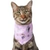 Disney Frozen Pattern Dog & Cat Bandana -Pawfect Care 354062 MAIN. AC SS1800 V1658774724