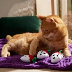 Frisco Halloween Ghost Strawberries Plush Cat Toy With Catnip, 3 Count -Pawfect Care 354127 PT3. AC SS1800 V1657657123