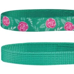 Blueberry Pet The Power Of All In One Stunning Plum Adjustable Breakaway Cat Collar With Bell, 2 Count -Pawfect Care 354270 PT5. AC SS1800 V1639503422