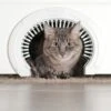 Purrfect Portal With Brush Interior Cat Door -Pawfect Care 355128 MAIN. AC SS1800 V1642459005
