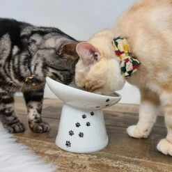 Necoichi Tilted Stress Free Raised Cat Food Bowl -Pawfect Care 357117 PT6. AC SS1800 V1700515632