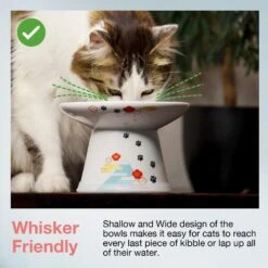 Necoichi Extra Wide Raised Cat Food Bowl 10 Necoichi Extra Wide Raised Cat Food Bowl -Pawfect Care 357119 PT2. AC SS1800 V1657657126