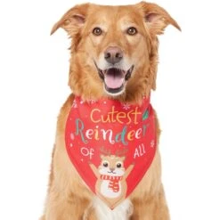 Frisco Cutest Reindeer Of All Dog & Cat Bandana -Pawfect Care 357931 PT2. AC SS1800 V1660756046