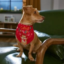 Frisco Cutest Reindeer Of All Dog & Cat Bandana -Pawfect Care 357931 PT6. AC SS1800 V1661798487