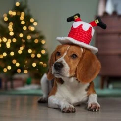 Frisco Down The Chimney Dog & Cat Headpiece -Pawfect Care 357934 PT4. AC SS1800 V1661799502