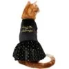 Frisco Kiss Me At Midnight Dog & Cat Dress -Pawfect Care 358044 MAIN. AC SS1800 V1660745164