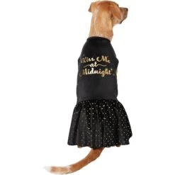 Frisco Kiss Me At Midnight Dog & Cat Dress -Pawfect Care 358044 PT2. AC SS1800 V1660760387