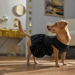 Frisco Kiss Me At Midnight Dog & Cat Dress -Pawfect Care 358044 PT7. AC SS1800 V1661799831