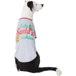 Frisco I Ate Santa's Cookies Dog & Cat T-Shirt -Pawfect Care 358293 PT2. AC SS1800 V1660758713