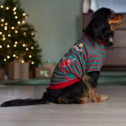 Frisco Naughty, Nice, I Tried Dog & Cat T-Shirt -Pawfect Care 358301 PT7. AC SS1800 V1661797473