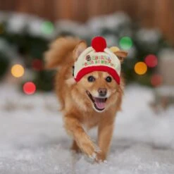 STAR WARS Knit Dog & Cat Hat -Pawfect Care 358443 PT4. AC SS1800 V1661799043