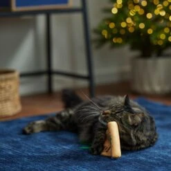 Frisco Holiday Santa's List Plush & Feather Cat Toy With Catnip -Pawfect Care 360895 PT3. AC SS1800 V1661874361