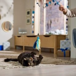 Frisco Hanukkah Interchangeable Teaser Wand Cat Toy With Catnip -Pawfect Care 360911 PT3. AC SS1800 V1661890134