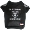 Pets First NFL Dog & Cat Raglan Jersey, Las Vegas Raiders -Pawfect Care 361172 MAIN. AC SS1800 V1642803447