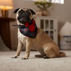 Disney Minnie Mouse Plaid Dog & Cat Bandana -Pawfect Care 361491 PT6. AC SS1800 V1661798242