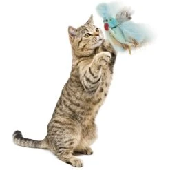 Petlinks Blue Beauty Lush Plush Catnip & Silvervine Bird & Feather Cat Toy, Blue, Small -Pawfect Care 362890 PT3. AC SS1800 V1642632423