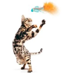 Petlinks Felty Flyer Catnip & Silvervine Launcher Cat Toy, Blue, Medium -Pawfect Care 362894 PT2. AC SS1800 V1642642616