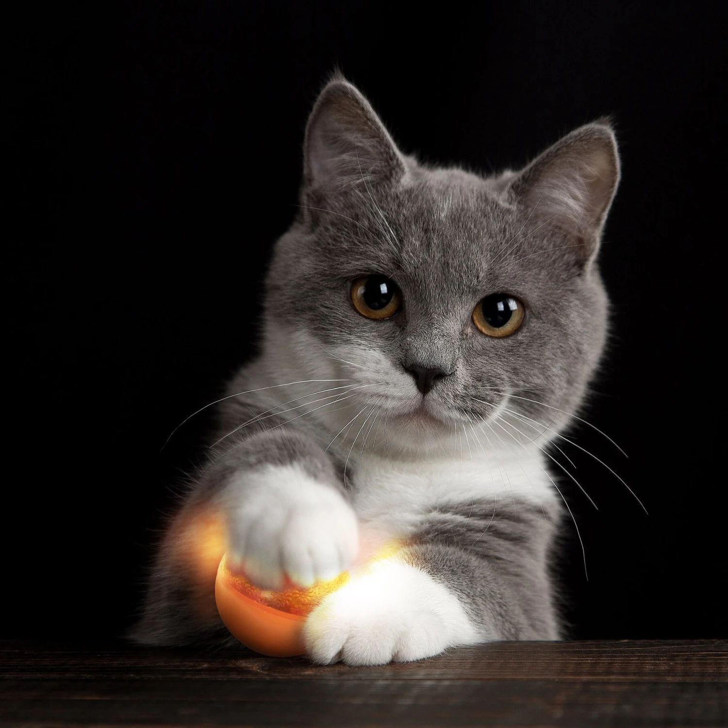 Petlinks Flicker Fun Electronic Light Ball Cat Toy, Green, Small 6 Petlinks Flicker Fun Electronic Light Ball Cat Toy, Green, Small - Image 4