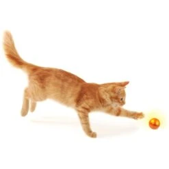 Petlinks Flicker Fun Electronic Light Ball Cat Toy, Green, Small 12 Petlinks Flicker Fun Electronic Light Ball Cat Toy, Green, Small -Pawfect Care 362898 PT4. AC SS1800 V1642648937