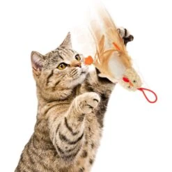 Petlinks Flying Chicken Electronic Sound Launcher Cat Toy, Natural, Medium -Pawfect Care 362902 PT4. AC SS1800 V1642648364