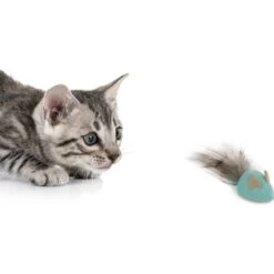 Petlinks Marble Mayhem Rolling Marble Racoon Cat Toy, Teal, Small -Pawfect Care 362912 PT3. AC SS1800 V1642633288